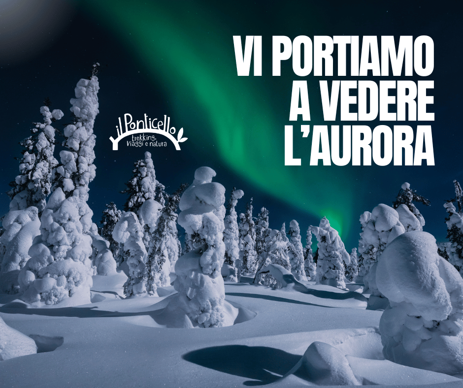 lapponia aurora boreale il ponticello